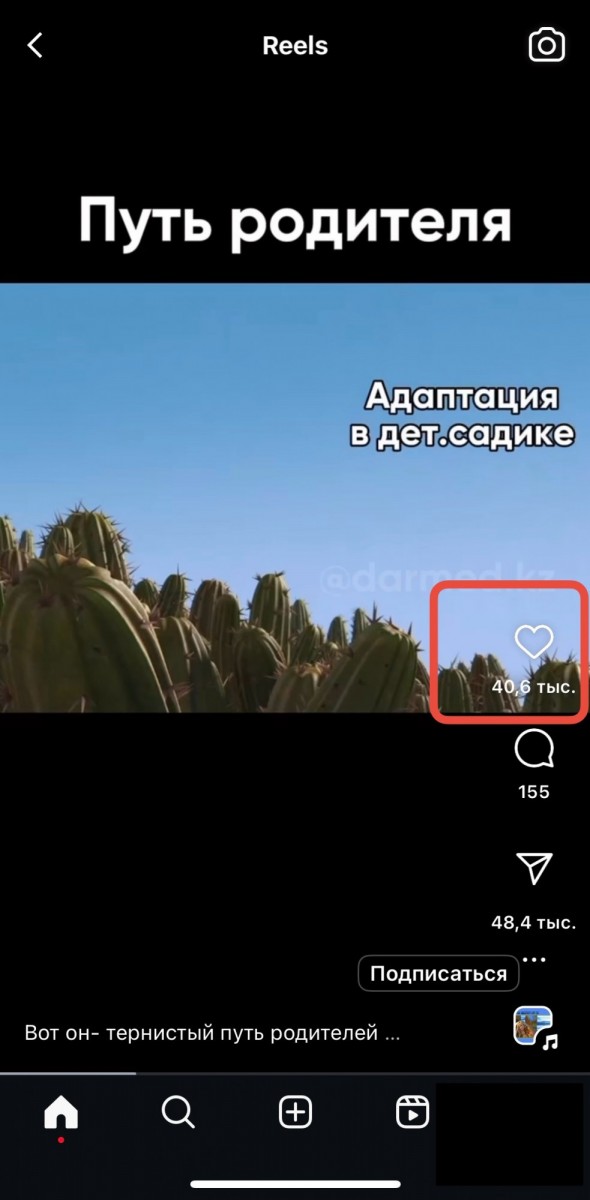 лайки на фото инстаграм и сторис